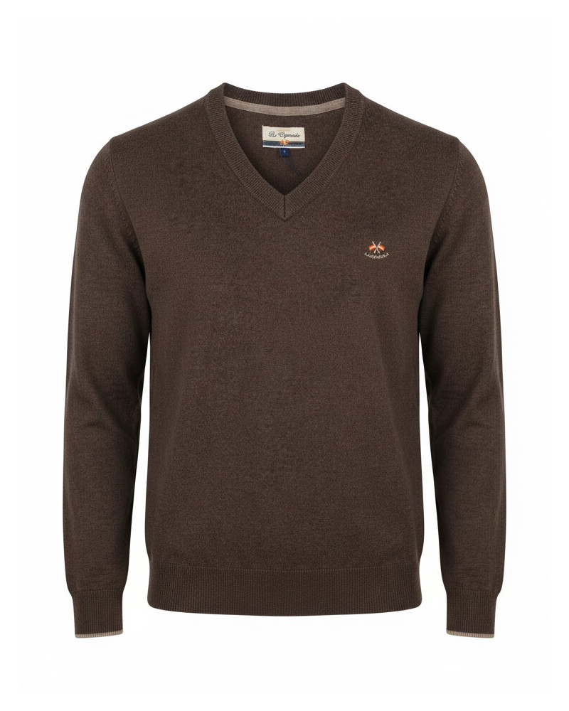 Polo algodón básico con bandera en cuello para hombre | La Española